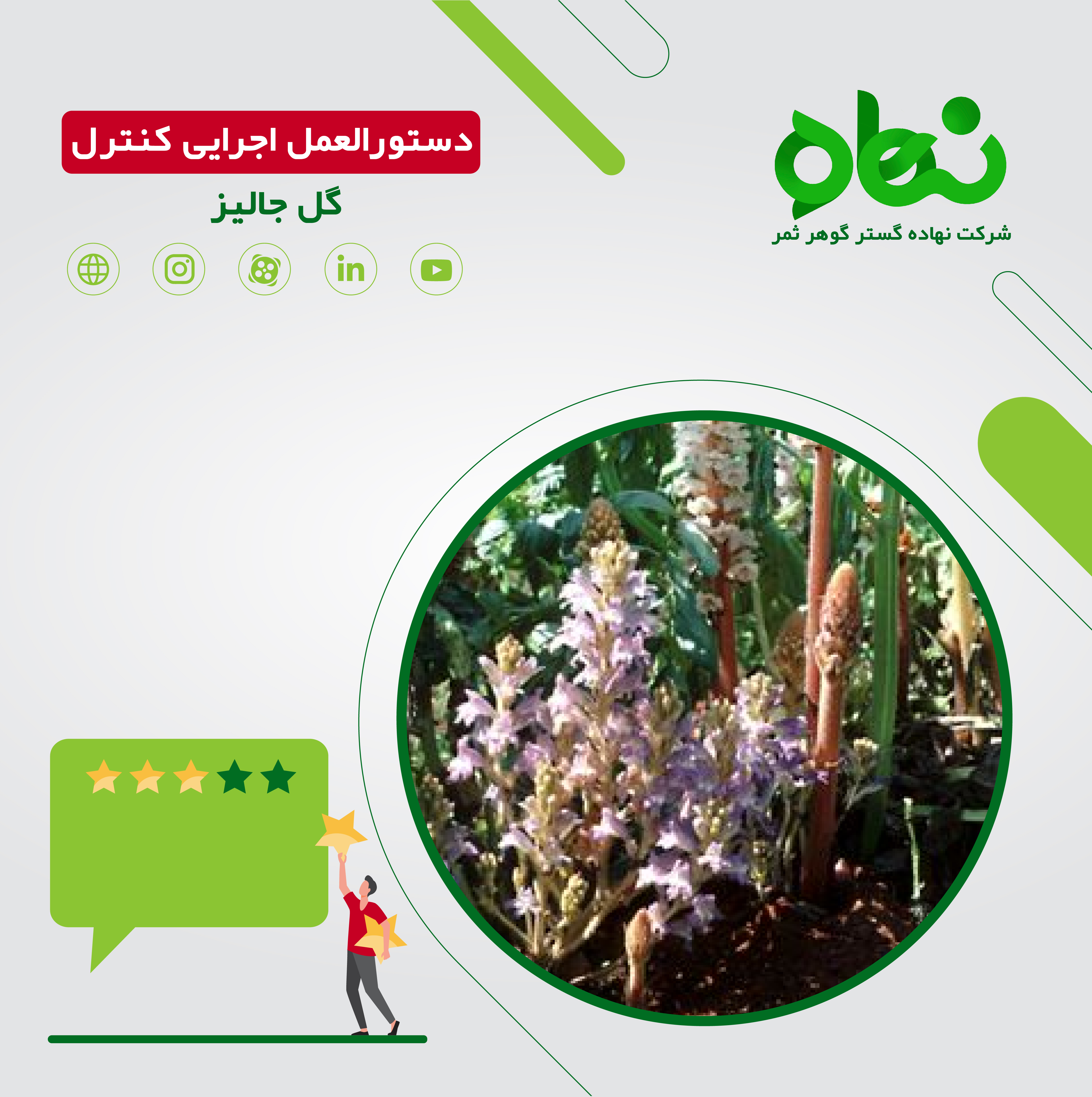 دستورالعمل مدیریت گل جالیز